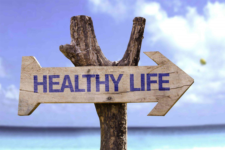 Want to Live a Healthy Life? | ProMeals Blog