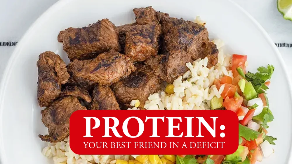 How To Eat In A Calorie Deficit | ProMeals Blog