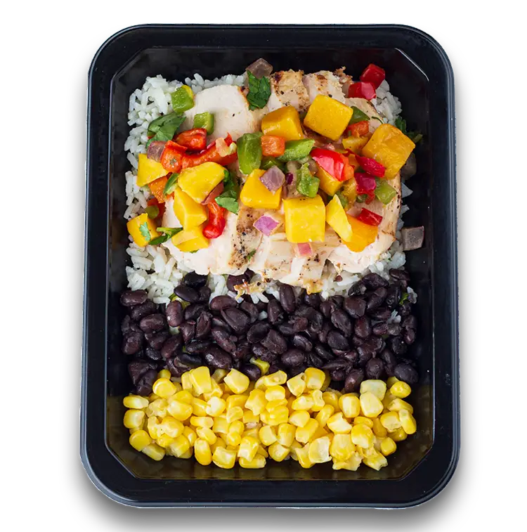 Mango Chicken  | ProMeals Menu